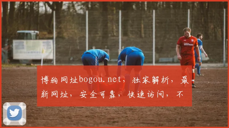 博狗网址bogou.net，独家解析，最新网址，安全可靠，快速访问，不容错过