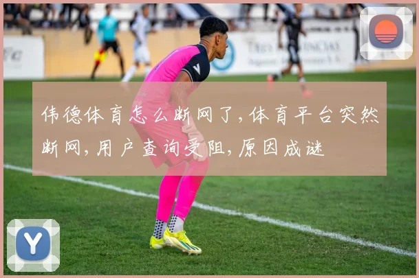 伟德体育怎么断网了,体育平台突然断网,用户查询受阻,原因成谜